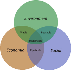 Sustainability – Wein Werte