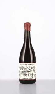 Aphros Wine | Vinho Verde | Phaunus Palhete, Amphora | 2020 | 750 Ml