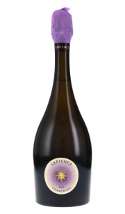 Marguet | Champagne | Sapience Premier Cru, Vintage 2013, Brut Nature | 2013 | 750 Ml
