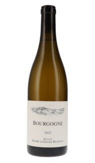 Henri & Gilles Buisson | Burgundy | Bourgogne Blanc AOC | 2022 | 750ml | Bio