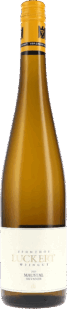 Zehnthof Luckert | Franken | Maustal Silvaner Großes Gewächs | 2023 | 750ml bio