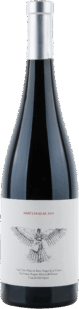 Valdemonjas | Ribera del Duero | Abrí Las Alas – I Opened My Wings | 2019 | 750ml | bio