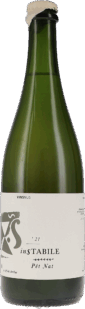 Vins Nus | Priorat | Instabile Pet Nat No. 0 Invitro  | 2021 | 750ml