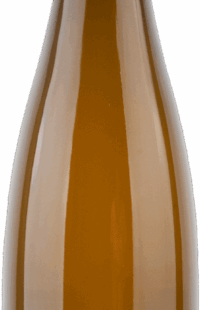 Albert Mann | Alsace | Riesling Furstentum Grand Cru | 2019 | 750ml | bio