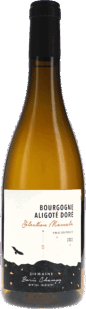 Boris Champy | Burgundy | Bourgogne Aligoté Doré, Sélection Massale AOP | 2022 | 750ml | bio