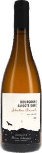 Boris Champy | Burgundy | Bourgogne Aligoté Doré, Sélection Massale AOP | 2023 | 1500ml | bio