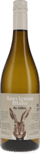 Kühling-Gillot | Rheinhessen | “Hase” Sauvignon Blanc by Gillot trocken | 2023 | 750ml | bio