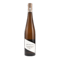 Peter Jakob Kühn | Rheingau | Riesling Hallgartener Hendelberg 1G Erste Lage | 2020 | 750ml | bio
