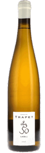 Trapet Alsace | Alsace | Ambre Blanc Muscat Macere | 2021 | 750ml | bio