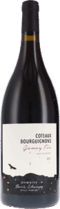 Boris Champy | Burgundy | Coteaux Bourguignons Gamay Fin AOP | 2022 | 1500ml | bio