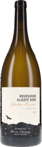 Boris Champy | Burgundy | Bourgogne Aligoté Doré, Sélection Massale AOP | 2023 | 1500ml | bio