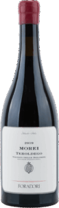 Foradori | Trentino | Morei Teroldego Vigneti delle Dolomiti IGT | 2019 | 750ml | bio