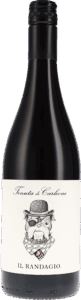 Tenuta di Carleone | Tuscany | Il Randagio IGT | 2022 | 750ml