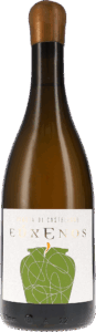 Tenuta di Castellaro | Sicily | EúxEnos Amphore IGT | 2021 | 750ml | bio