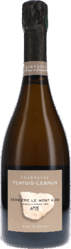 Pertois-Lebrun | Champagne | Derrière le Mont Aigu N°13, Chouilly Grand Cru Blanc de Blancs Extra Brut | 2013 | 750ml