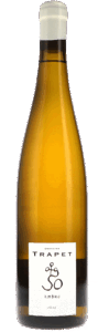 Trapet Alsace | Alsace | Ambre Blanc Muscat Macere | 2021 | 750ml | bio