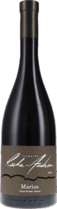 Roche-Audran | Southern Rhône | Côtes du Rhône Villages Visan Rouge Marius “Père Mayeux” | 2019 | 750ml | bio