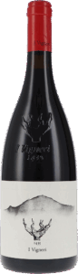 I Vigneri di Salvo Foti | Sicily | I Vigneri Rosso | 2022 | 750ml