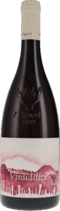 I Vigneri di Salvo Foti | Sicily | Vinudilice Rosato | 2023 | 750ml