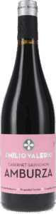 Laderas de Montejurra | Navarra | Amburza | 2021 | 750ml | bio