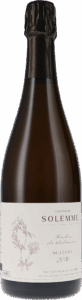 Solemme | Champagne | Ambre de Solemme, Blanc de Noirs, Brut Nature, Millésimé | 2016 | 750ml | bio