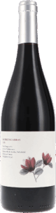 Valdemonjas | Ribera del Duero | Entre Palabras – Between Words | 2021 | 750ml | bio