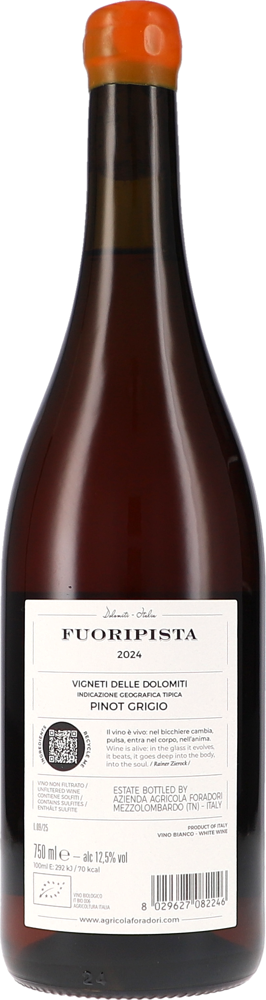 Foradori Fuoripista Pinot Grigio 2024 750ml Foto 2