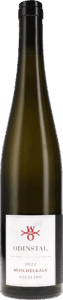 Odinstal | Pfalz | Riesling Muschelkalk | 2022 | 750ml | bio