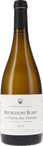 Thomas-Collardot | Burgund | Bourgogne blanc “La Plante des Champs” AOC | 2023 | 750ml | bio