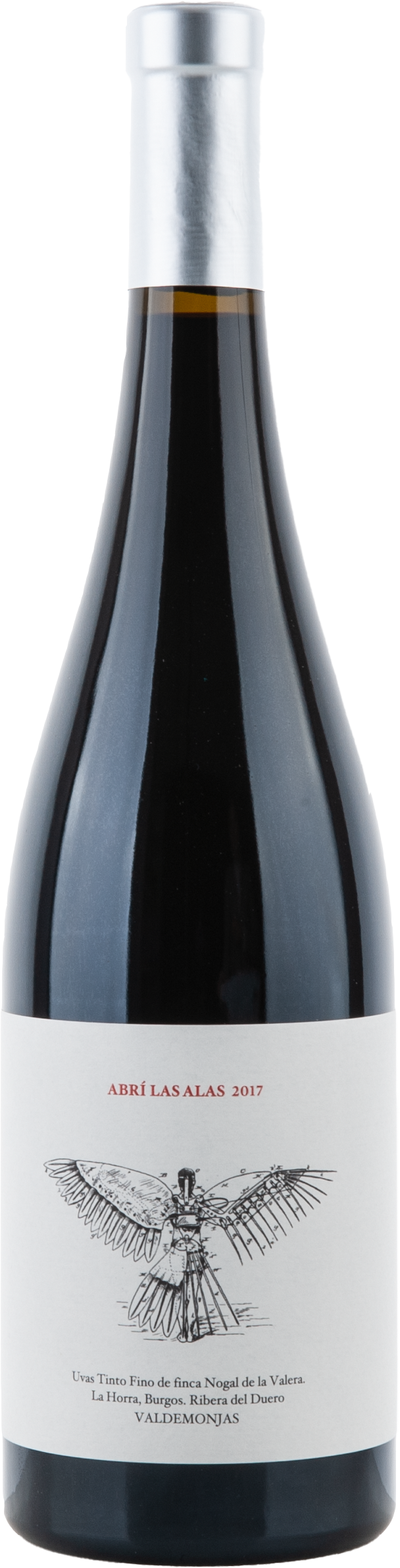 Valdemonjas Abrí Las Alas - I Opened My Wings 2017, 750ml Flasche, Ansicht Frontetikett