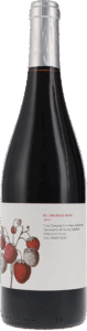 Valdemonjas | Ribera del Duero | El Primer Beso – The First Kiss | 2024 | 750ml | bio