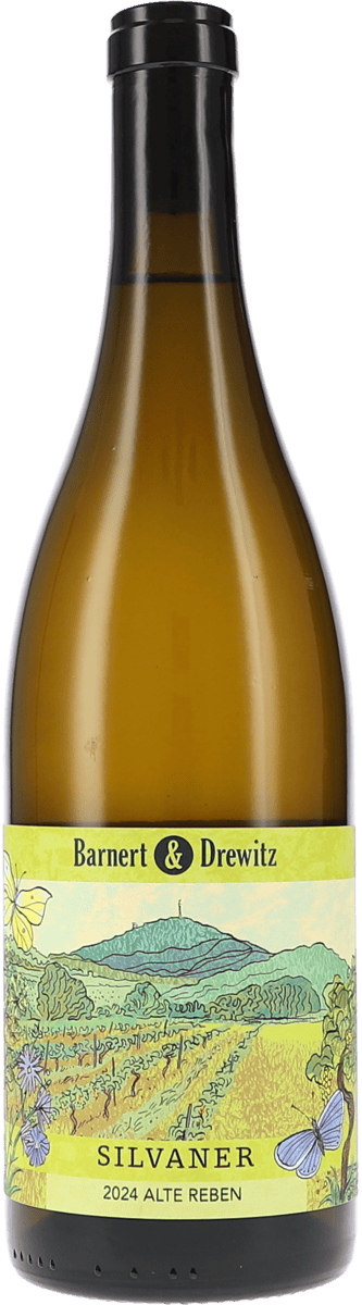 Barnert & Drewitz | Hessische Bergstraße | Silvaner Alte Reben Trocken | 2024 | 750ml