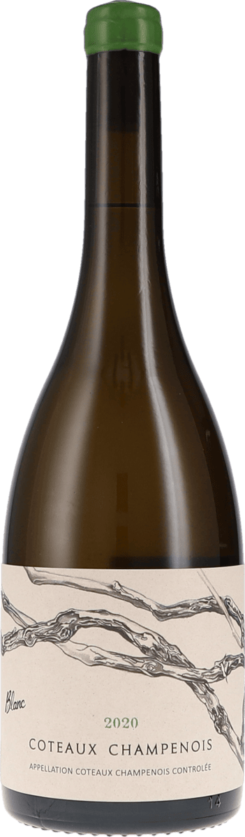 De Sousa et Fils | Champagne | Coteaux Champenois, Blanc AOC | 2020 | 750ml | bio
