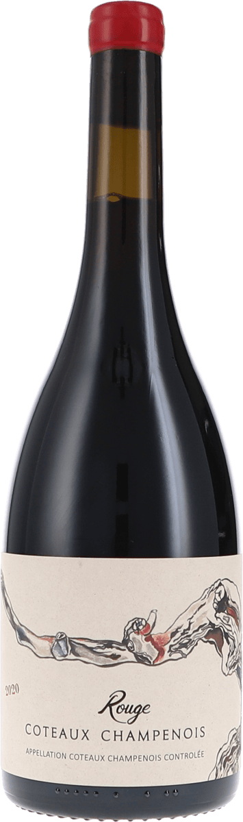 De Sousa et Fils | Champagne | Coteaux Champenois, Rouge AOC | 2020 | 750ml | bio