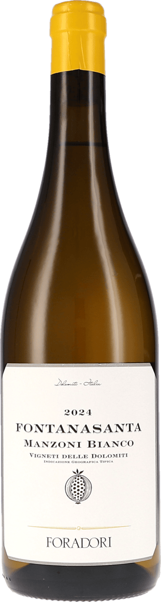 Foradori | Trentino | Fontanasanta Manzoni Bianco Vigneti delle Dolomiti IGT  | 2024 | 750ml | bio