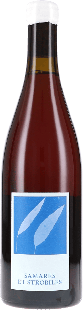 Hunter McKirdy | Elsass | Samares et Strobiles | 2024 | 750ml