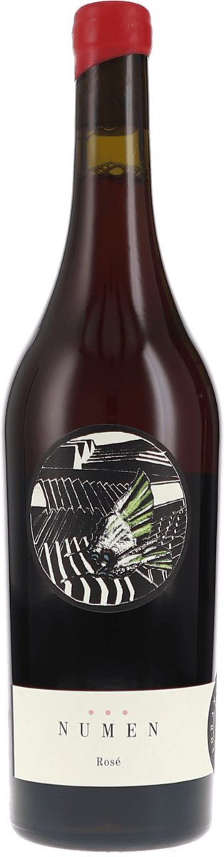 Johannes Zillinger | Weinviertel | NUMEN Sankt Laurent Rosé | 2020 | 750ml | bio