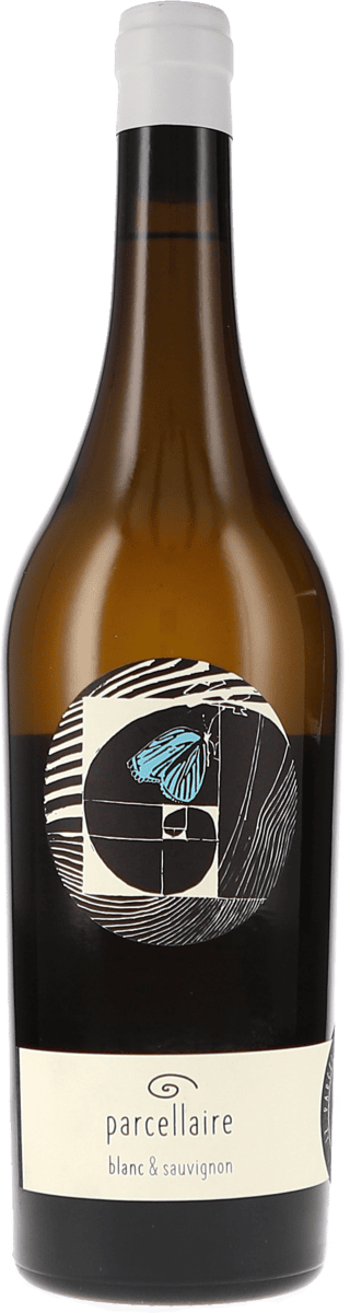 Johannes Zillinger | Weinviertel | parcellaire blanc&sauvignon | 2022 | 750ml | bio
