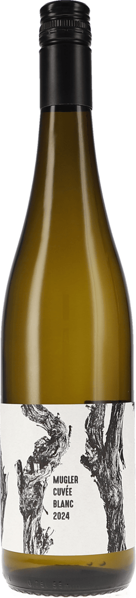 M. Schädler – Steffen Mugler | Pfalz | Cuvée Blanc | 2024 | 750ml | bio