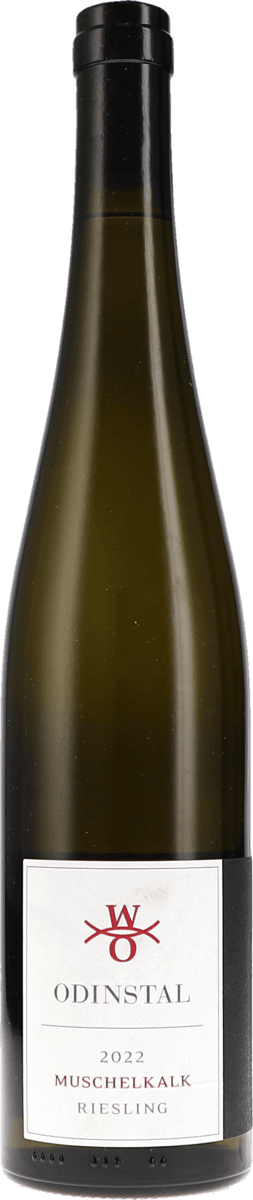 Odinstal | Pfalz | Riesling Muschelkalk | 2022 | 750ml | bio