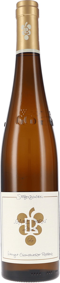 Ökonomierat Rebholz | Pfalz | Riesling “Ganz Horn” GG | 2024 | 750ml | bio
