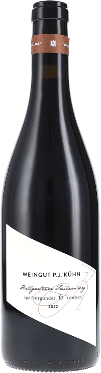 Peter Jakob Kühn | Rheingau | Hallgartener Frühernberg VDP Erste Lage | 2022 | 750ml | bio