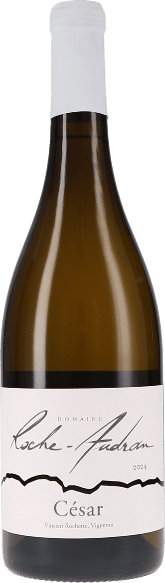Roche-Audran | Rhone (Süd) | Côtes du Rhône blanc “Cuvée César” | 2024 | 750ml | bio