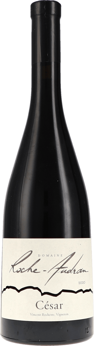 Roche-Audran | Rhone (Süd) | Côtes du Rhône Rouge “Cuvée César” AOC | 2020 | 750ml | bio