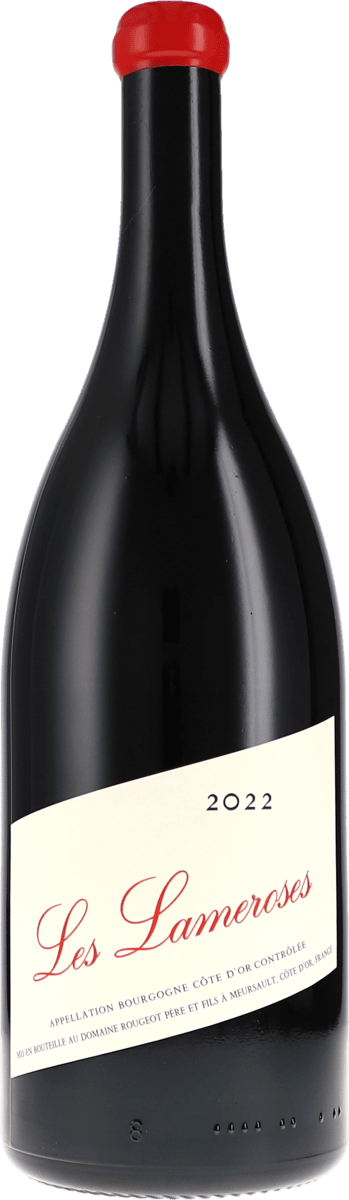 Rougeot Père & Fils | Burgund | Bourgogne Côte d’Or “Les Lameroses” Sans Sulfite Ajouté AOC | 2022 | 1500ml | bio