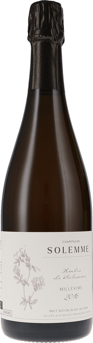 Solemme | Champagne | Ambre de Solemme, Blanc de Noirs, Brut Nature, Millésimé | 2016 | 750ml | bio