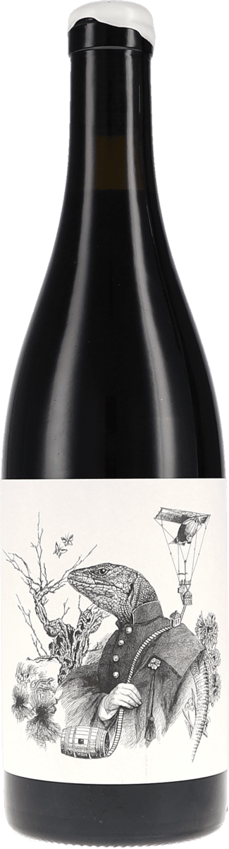 Tentenublo | Rioja | Escondite del Ardacho, El Abundillano | 2023 | 750ml | bio