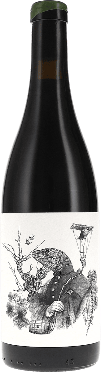 Tentenublo | Rioja | Escondite del Ardacho, Las Guillermas | 2019 | 750ml