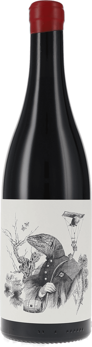 Tentenublo | Rioja | Escondite del Ardacho, San José | 2022 | 750ml | bio