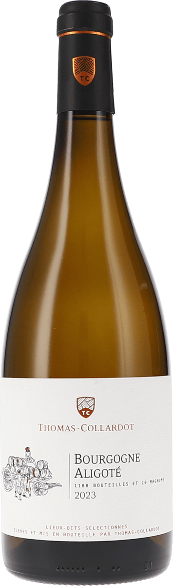 Thomas-Collardot | Burgund | Bourgogne Aligoté AOC | 2023 | 750ml